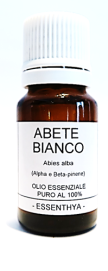 abete_bianco_1 Abete Bianco