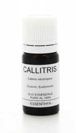 callitris Callitris